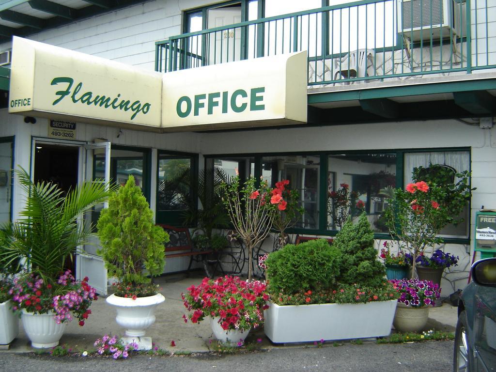 Flamingo Motel Penticton Extérieur photo