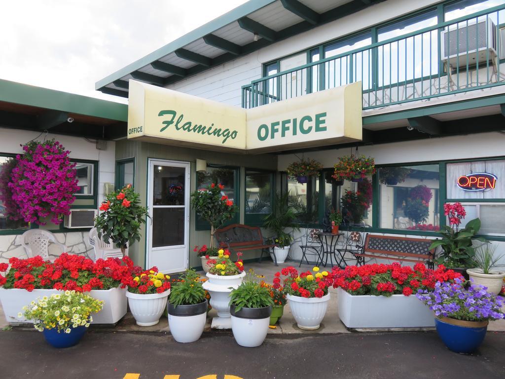 Flamingo Motel Penticton Extérieur photo